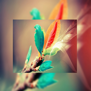 xxx69xxx日本老师
